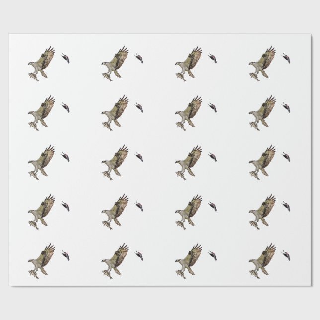Fiskgjuse som jagas av en röd bevingad blackbird presentpapper (Platt)