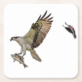 Fiskgjuse som jagas av en röd bevingad blackbird underlägg papper kvadrat