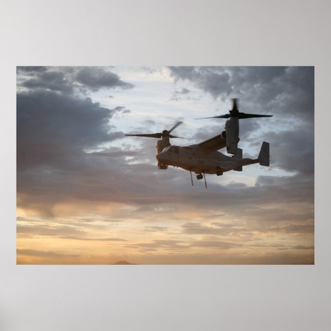 Fiskgjuse V-22 Poster (Framsidan)