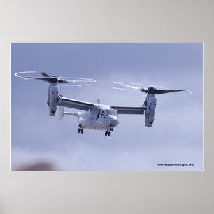 Fiskgjuse V-22 Poster