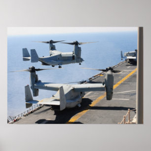 Fiskgjuse V-22 Poster