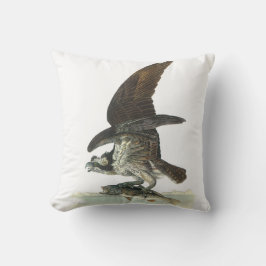 Fiskgjuse vid Audubon Kudde