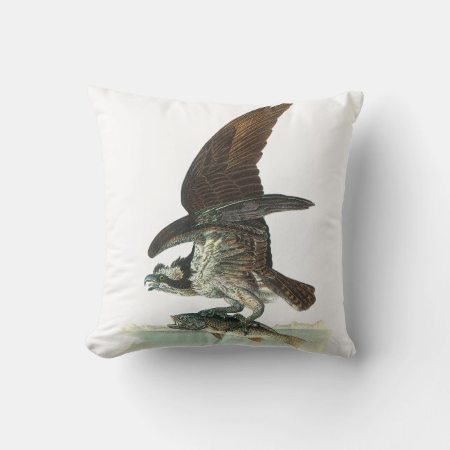 Fiskgjuse vid Audubon Kudde (Framsida)