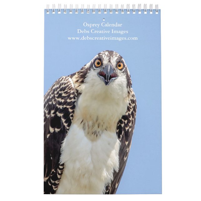 Fiskgjusefamilj 2026 kalender (Omslag)