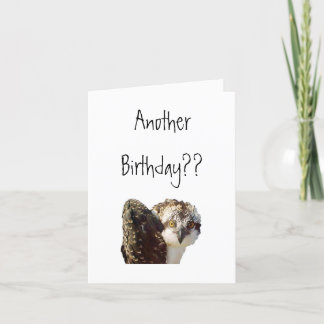 Fiskgjusefödelsedag Kort