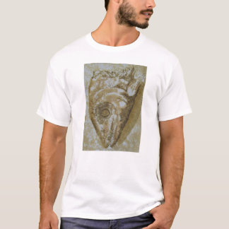 Fiskhuvud Tee Shirt