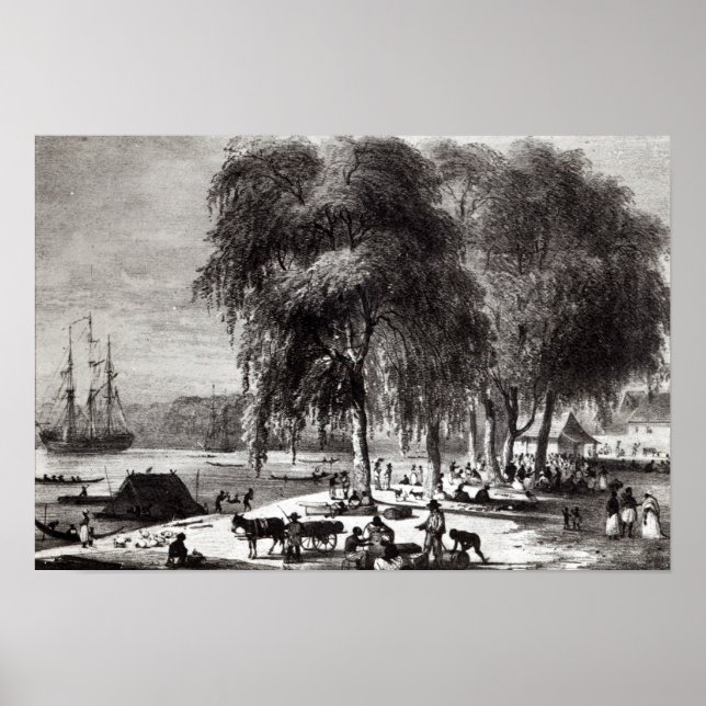 Fiskmarknad, Paramribo Poster (Framsidan)