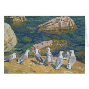 Fiskmås 1910 hälsningskort
