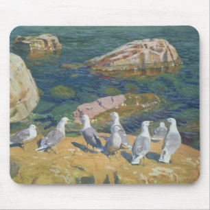 Fiskmås 1910 musmatta