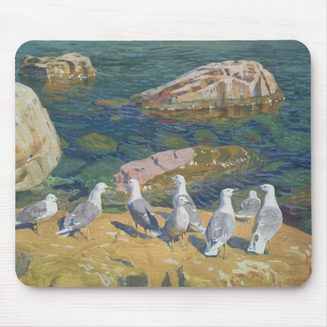 Fiskmås 1910 musmatta (Framsidan)