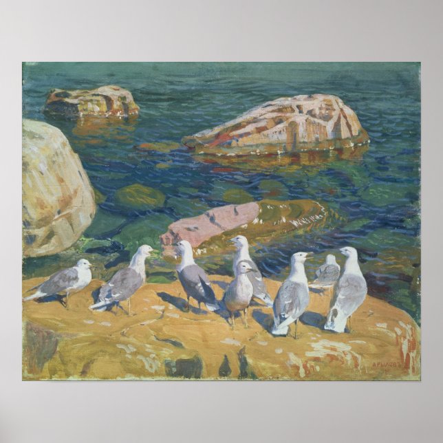 Fiskmås, 1910 poster (Framsidan)