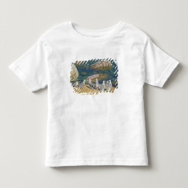 Fiskmås 1910 t-shirt (Framsida)