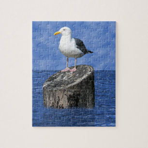 FISKMÅS 1 PUSSEL