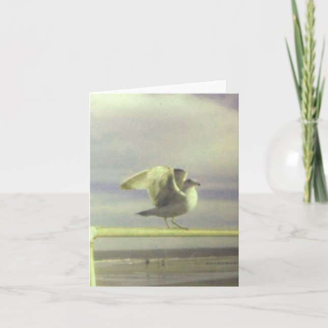 Fiskmås anteckningskort (Framsida)