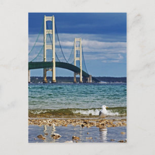 Fiskmås av Mackinac Bridge Vykort