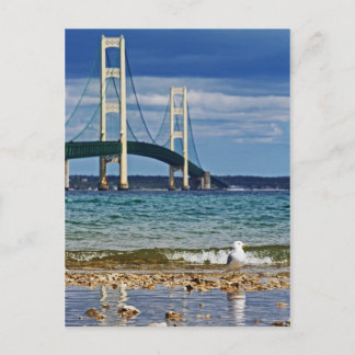 Fiskmås av Mackinac Bridge Vykort