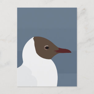 Fiskmås Bird Gull Fiskmås Vykort