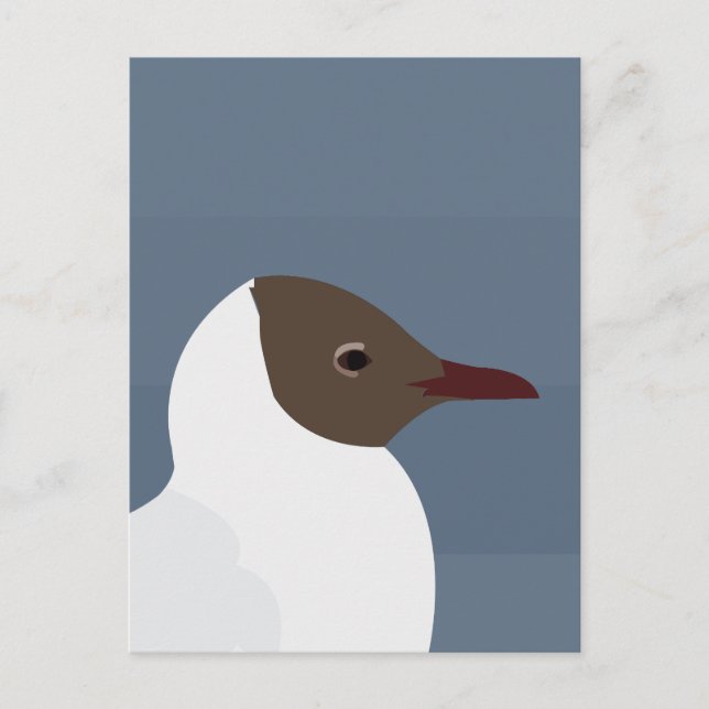 Fiskmås Bird Gull Fiskmås Vykort (Framsida)