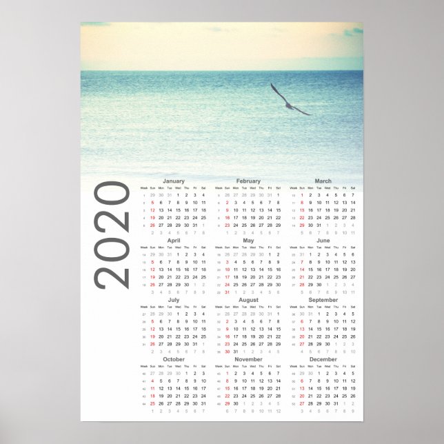 Fiskmås Calendar 2020 Poster (Framsidan)