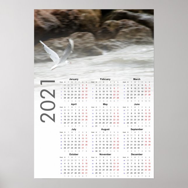Fiskmås Calendar 2021 Poster - måndag 1 (Framsidan)