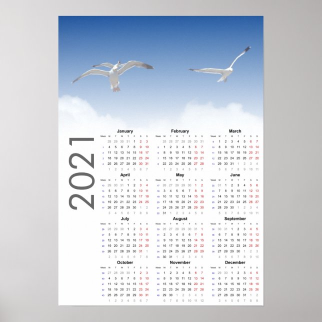 Fiskmås Calendar 2021 Poster - måndag 1 (Framsidan)