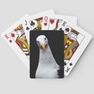 Fiskmås Casinokort