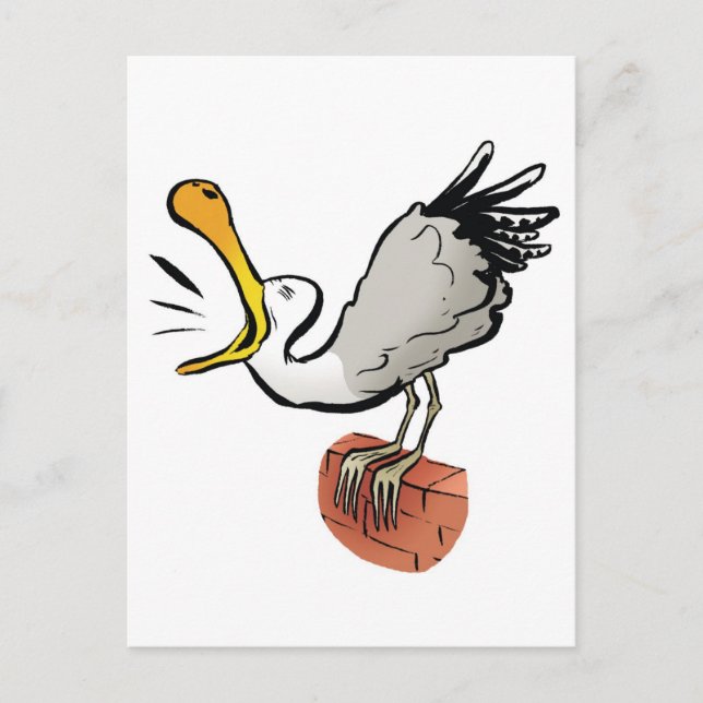 Fiskmås chattar vykort (Framsida)