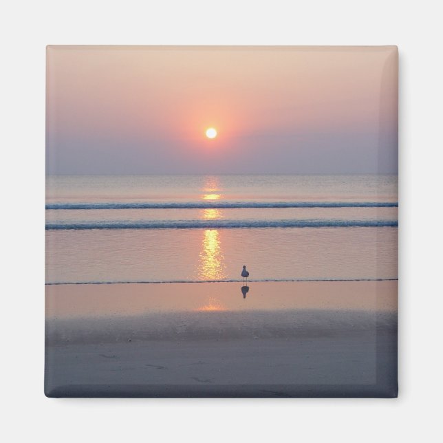 Fiskmås Daytona Beach FL Ocean Sunrise Magnet (Framsidan)