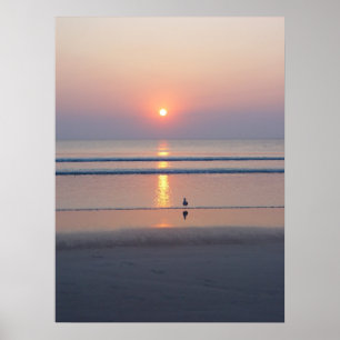 Fiskmås Daytona Beach FL Ocean Sunrise Poster