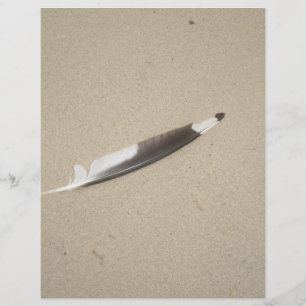 Fiskmås Feather