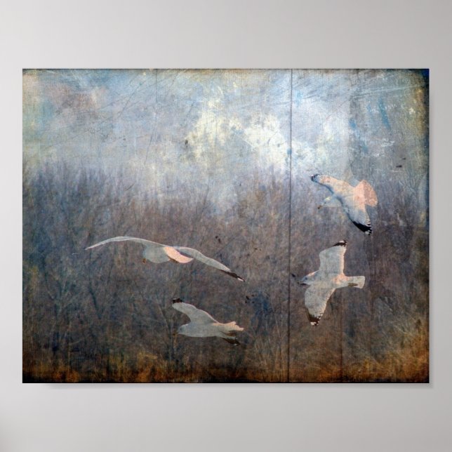 Fiskmås Grunge Poster (Framsidan)