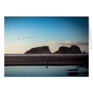 fiskmås hälsningskort