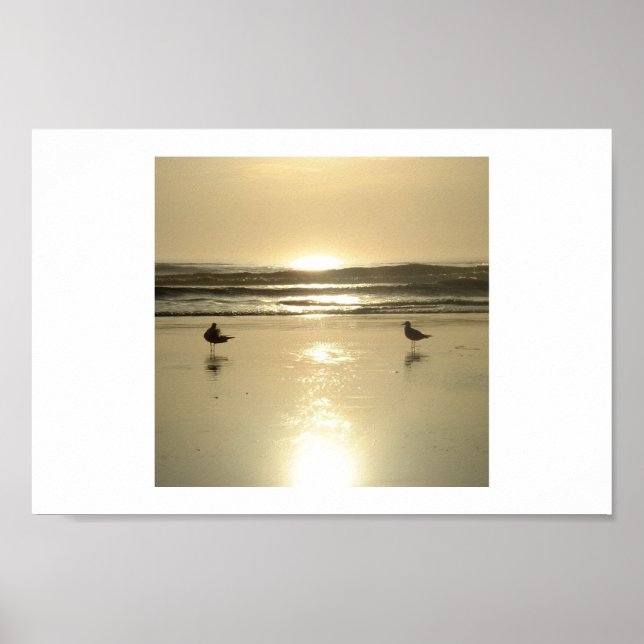 Fiskmås i Daytona Poster (Framsidan)