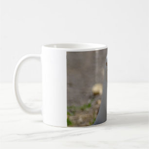 Fiskmås Kaffemugg