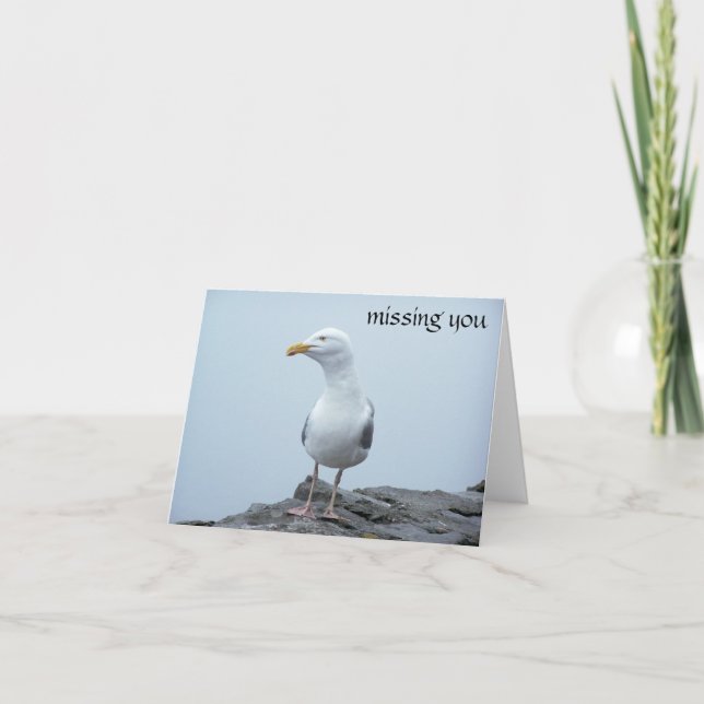 Fiskmås Kort (Framsida)