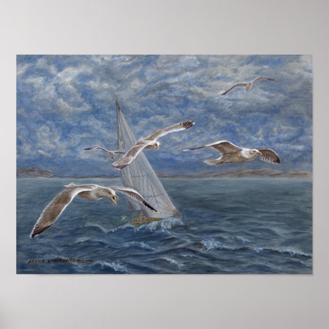 Fiskmås leder vägen poster (Framsidan)