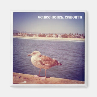 fiskmås livet magnet