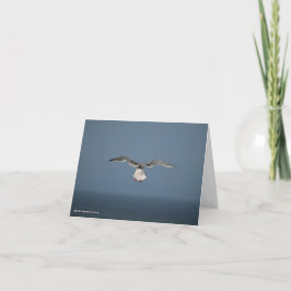 Fiskmås Löv Card Kort