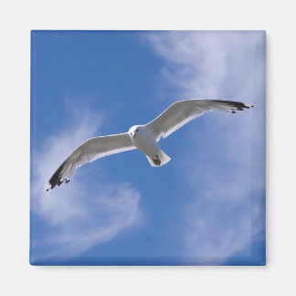 Fiskmås Magnet