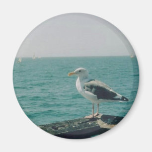 Fiskmås Magnet