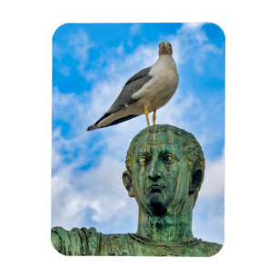 Fiskmås Magnet