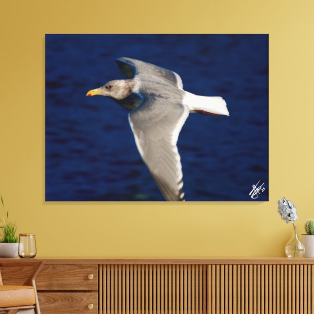Fiskmås, mittplan i Mutiny Bay Canvastryck (Insitu (Vardagsrum))