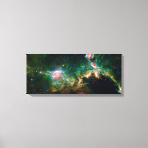 Fiskmås Nebula NASA-rymd Canvastryck