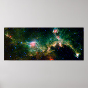 Fiskmås Nebula NASA-rymd Poster