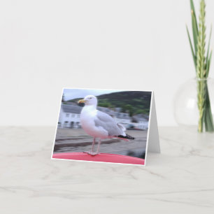 Fiskmås Notecard Kort