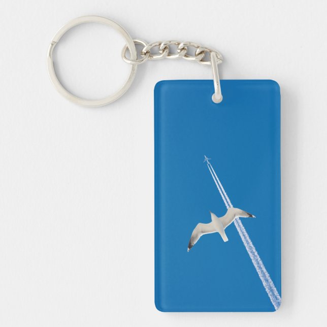 Fiskmås och flygplan (Framsidan)