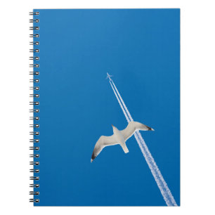 Fiskmås och flygplan anteckningsbok med spiral