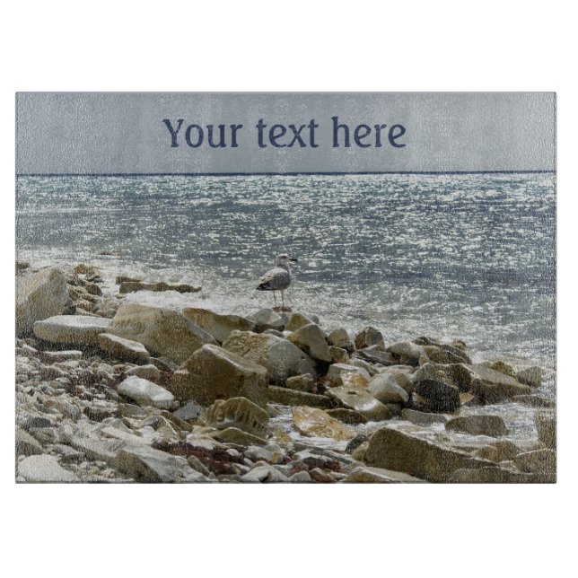 Fiskmås och hav (Framsidan)