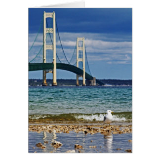 Fiskmås och Mackinac Bridge Hälsningskort