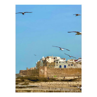 Fiskmås och staden. - Essaouira, Marocko Fototryck